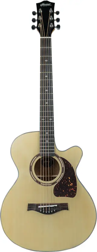 Hertz HZA-3900 EQ (NA) Semi-acoustic Guitar Linden Wood Rosewood (Natural) Semi-acoustic Guitar Spruce Wood Rosewood Right Hand Orientation (Natural)